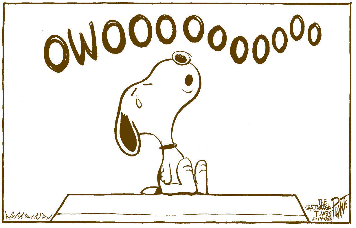 Snoopy cries